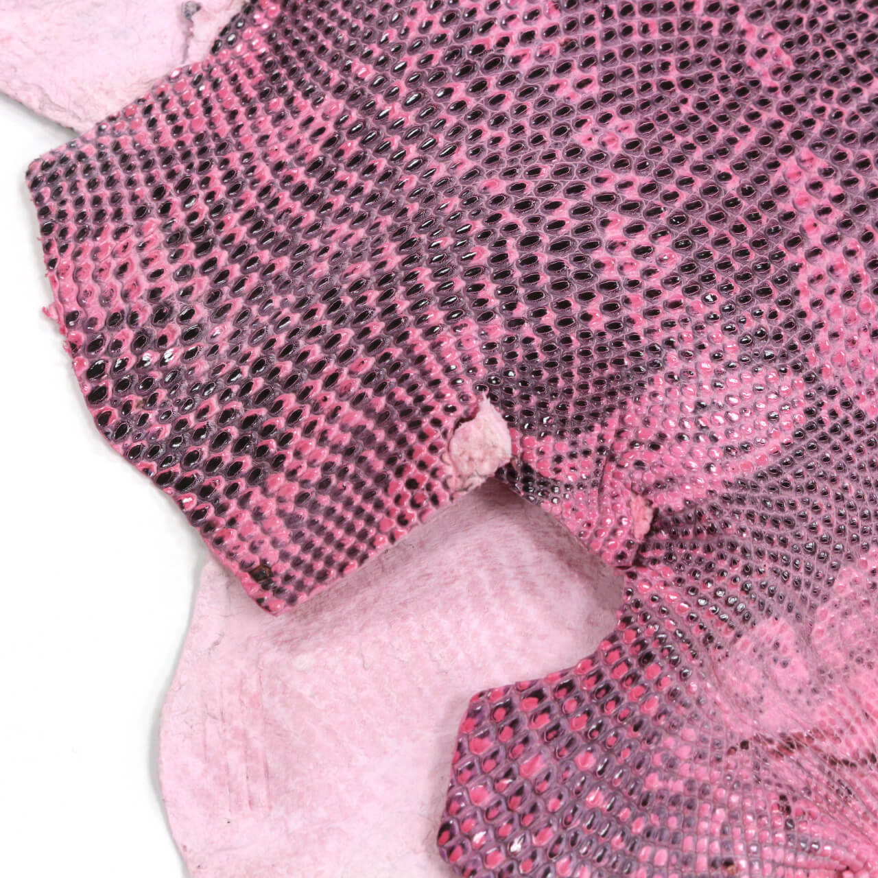 Кожа ящерицы Emilio Pucci 31х30 см, цвет Розовый, фото 1