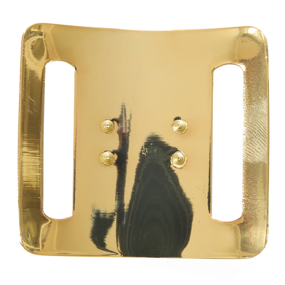 Пряжка Roberto Cavalli 5,5 см, цвет Золото, фото 1