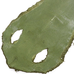 Кожа ската Emilio Pucci 55х20 см, цвет Зеленый